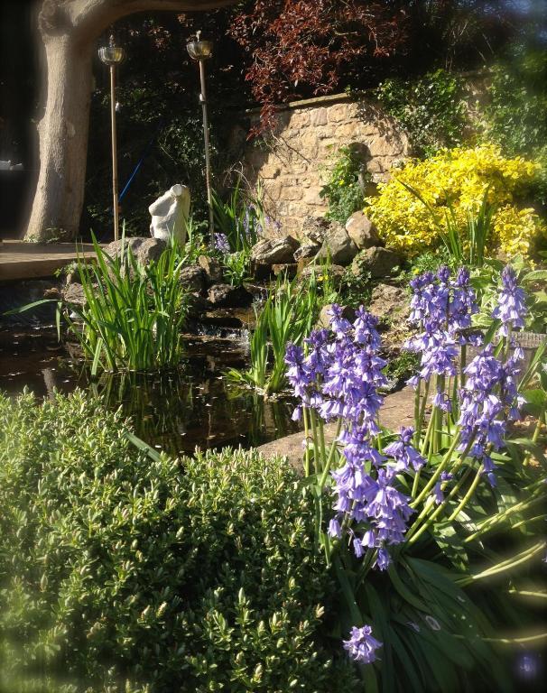Pensjonat Hazel Manor Harrogate Zewnętrze zdjęcie