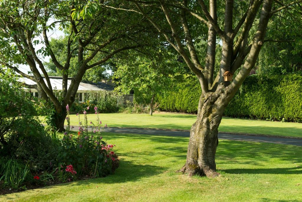 Pensjonat Hazel Manor Harrogate Zewnętrze zdjęcie
